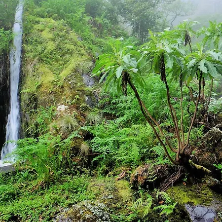 Casa Ginjas São Vicente