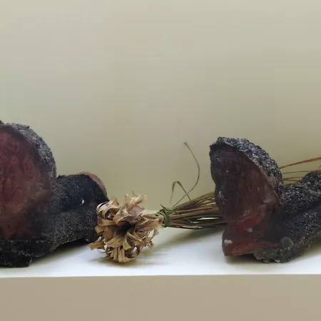 Casa Ginjas Εξοχικό σπίτι *