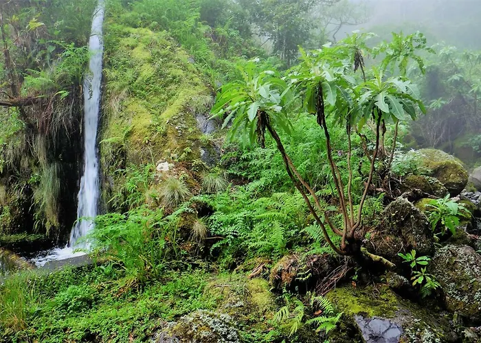 Casa Ginjas São Vicente