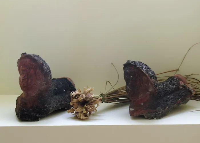 Casa Ginjas Venkovský dům *